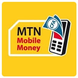 MTN Money